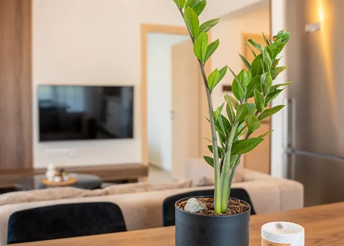 Hasi Two Bedroom 公寓 *